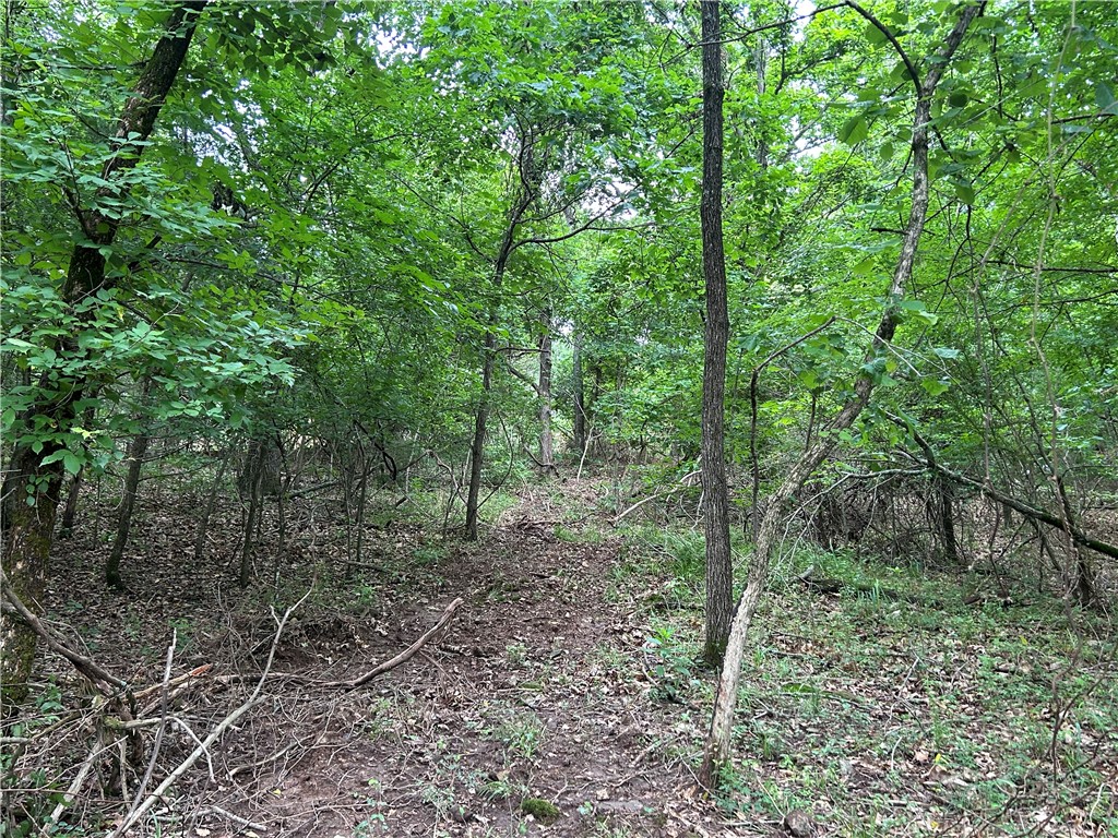 Hickory Heights - Land