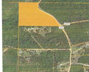 Nice wooded 12.6 acres less than 10 miles from town. Property has a 535 ft well that was drilled in 1991 (no pump). Also there is a spring fed creek on the NW corner of the property.
