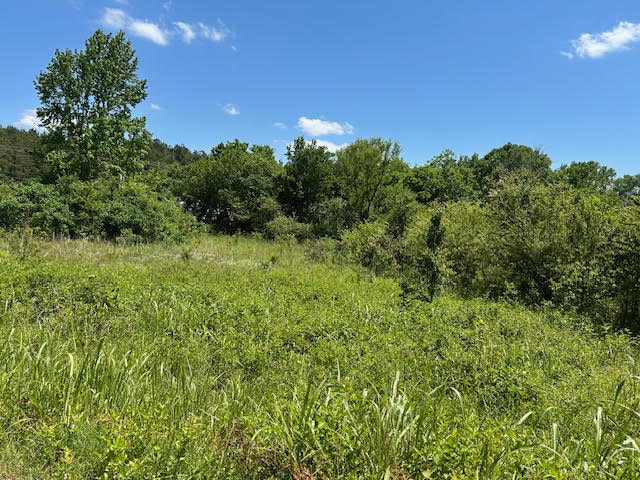 The Meadows - Land
