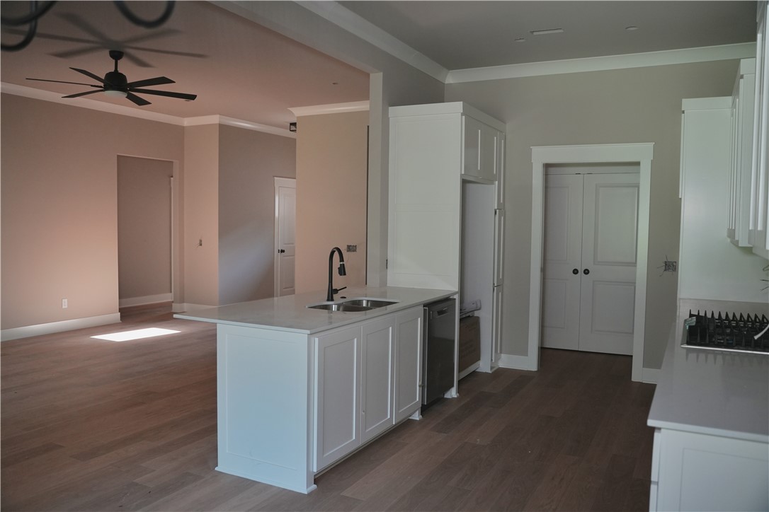 Snyder Farms Rurban - Residential