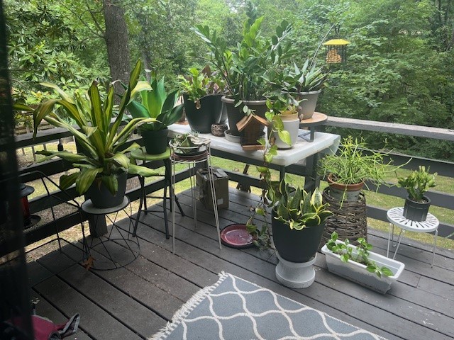 Avondale Sub 2 Bvv - Residential