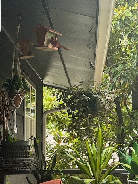 Avondale Sub 2 Bvv - Residential