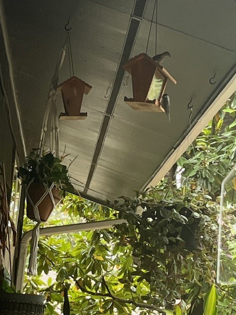 Avondale Sub 2 Bvv - Residential