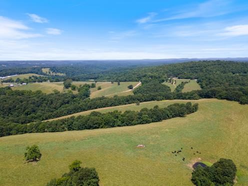 This picturesque landscape contains 160 acres of open, rolling pastures, mature trees in wooded groves, 2 ponds, a wet weather creek, natural spring and is fully fenced. With ample space for grazing livestock, the property also offers a tranquil haven for wildlife enthusiasts and outdoor lovers alike. Do a little exploring on the trails in your 4-wheel drive where you can enjoy the hollers, ponds and the natural wet-weather stream bed or just simply enjoy the peaceful ambiance in the open field that overlooks the entire property. Entrance to property on Hwy 23 with a deeded easement. Only 10 miles to Eureka Springs. 20 Minutes to War Eagle Cavern and Hobbs State Park.