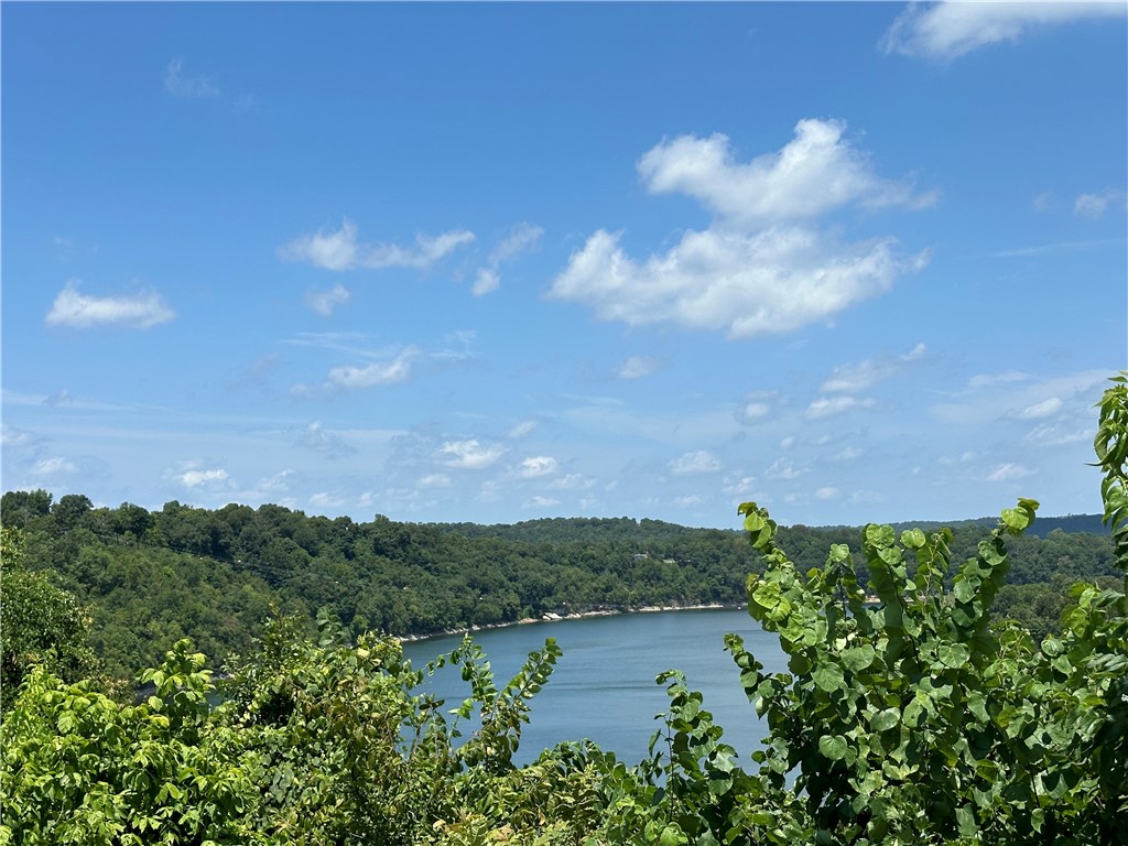 Perfect for the Vision-Minded Buyer, this lakefront lot spans nearly 2 acres with stunning views of Beaver Lake near War Eagle Marina! Ideal for a home with picture windows wall floor to ceiling to soak up the expansive view. Build a rooftop patio to extend your view of the lake, it is the perfect place for entertaining! Located in the Springdale school district, this lot is perfect for a multilevel house design. Don't miss out on this unique opportunity!