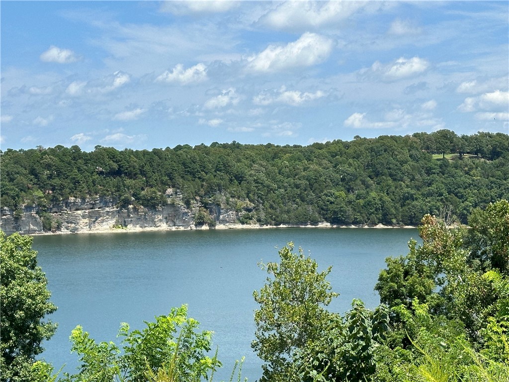 Perfect for the Vision-Minded Buyer, this lakefront lot spans nearly 2 acres with stunning views of Beaver Lake near War Eagle Marina! Ideal for a home with picture windows wall floor to ceiling to soak up the expansive view. Build a rooftop patio to extend your view of the lake, it is the perfect place for entertaining! Located in the Springdale school district, this lot is perfect for a multilevel house design. Don't miss out on this unique opportunity!