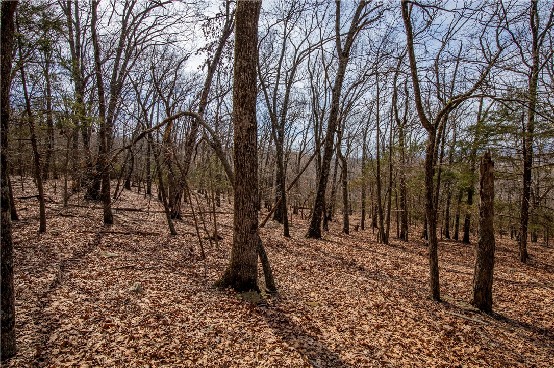 Fayetteville Outlots - Land