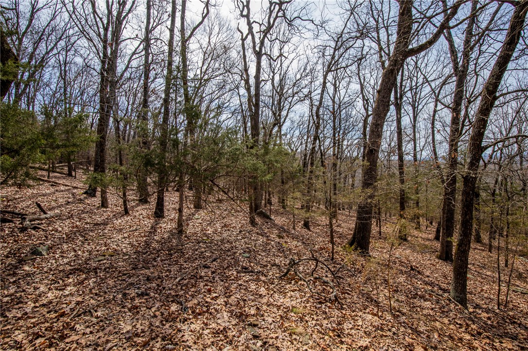 Fayetteville Outlots - Land