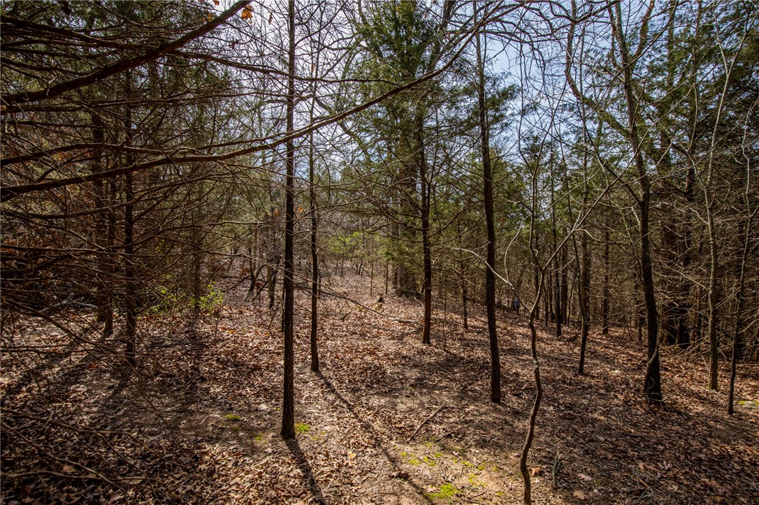 Fayetteville Outlots - Land
