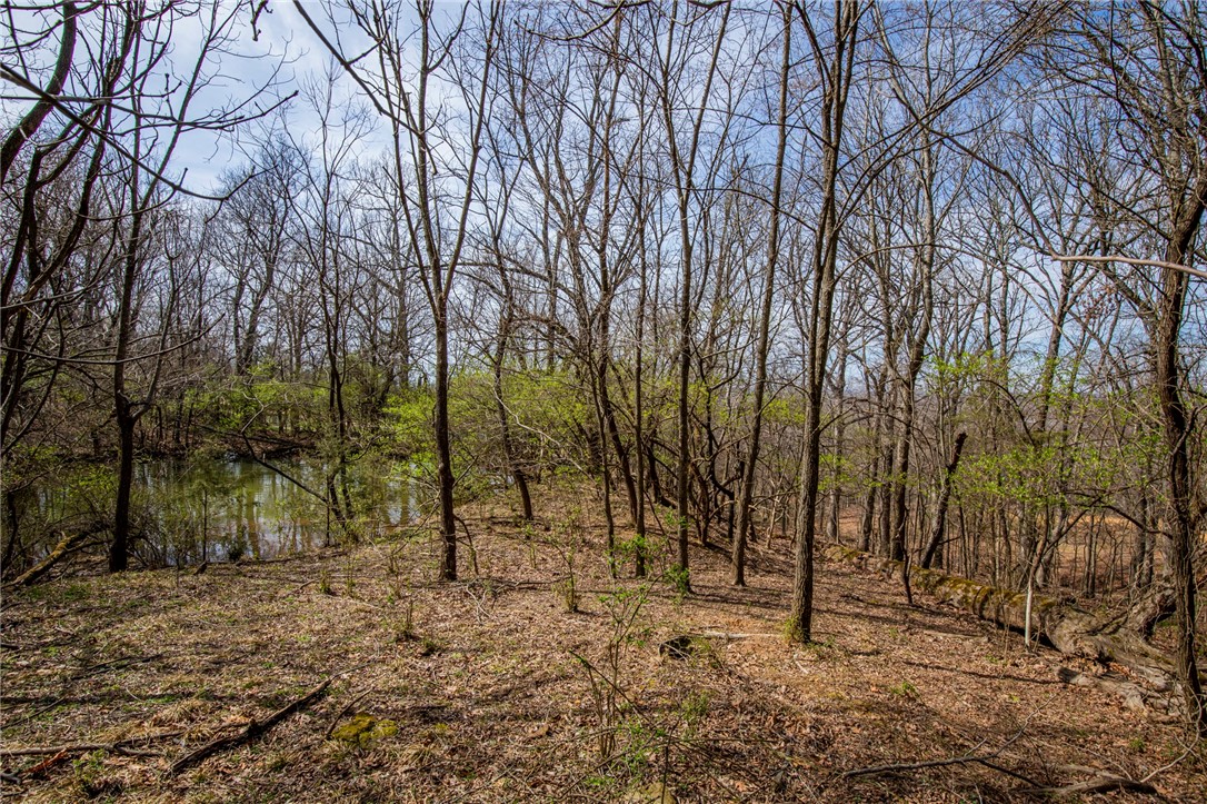 Fayetteville Outlots - Land
