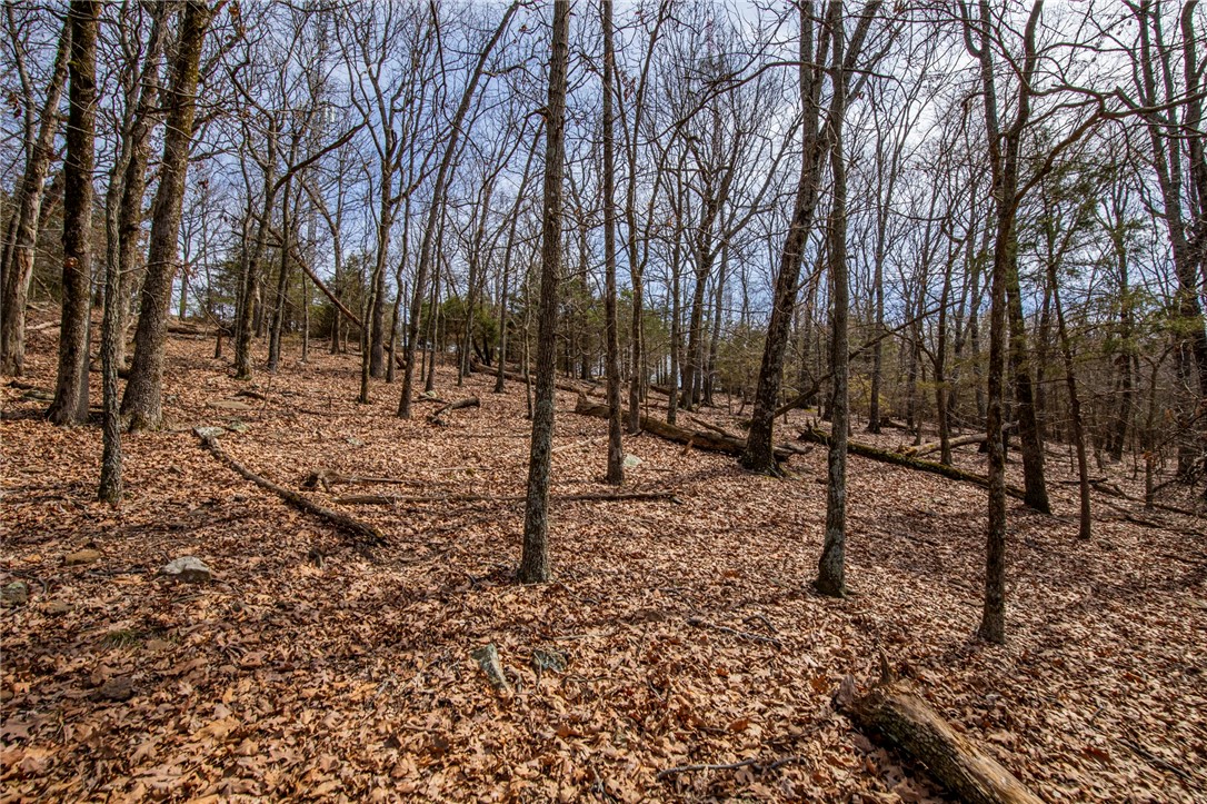 Fayetteville Outlots - Land
