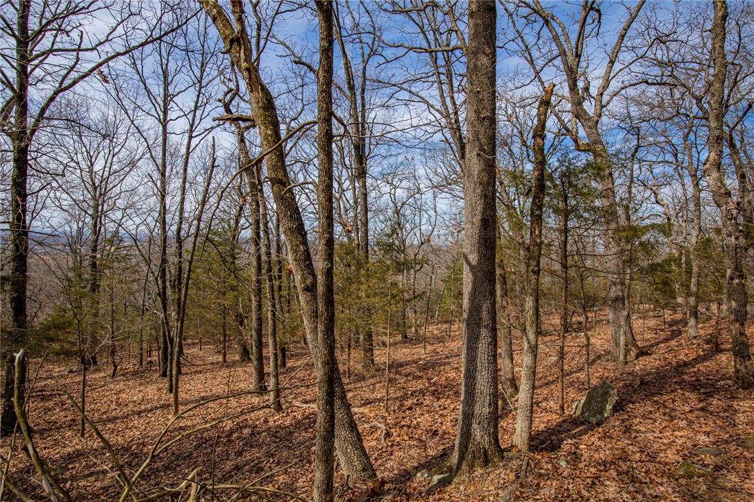 Fayetteville Outlots - Land