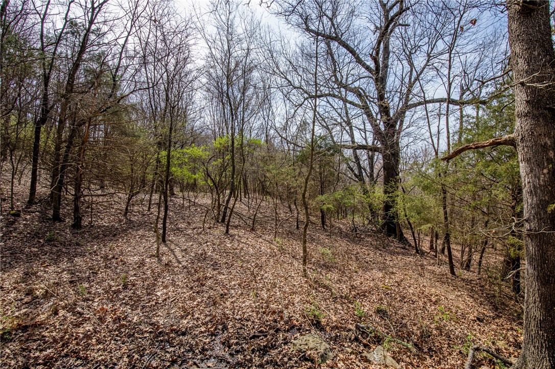 Fayetteville Outlots - Land