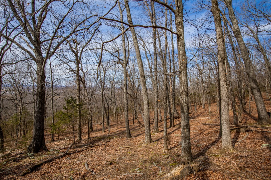 Fayetteville Outlots - Land