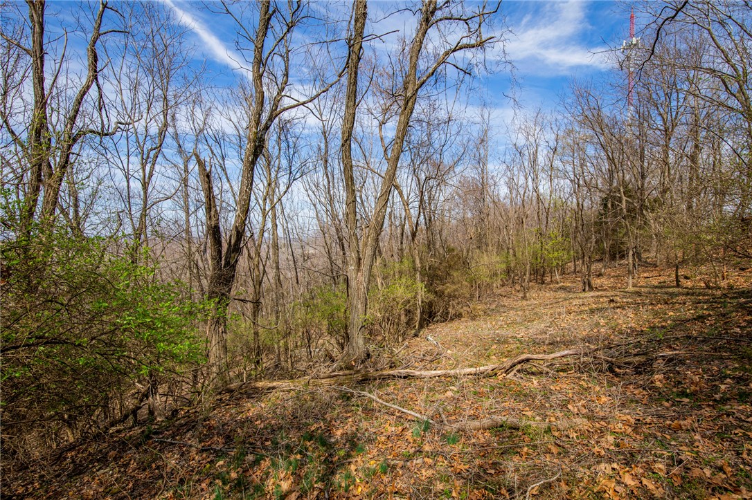 Fayetteville Outlots - Land
