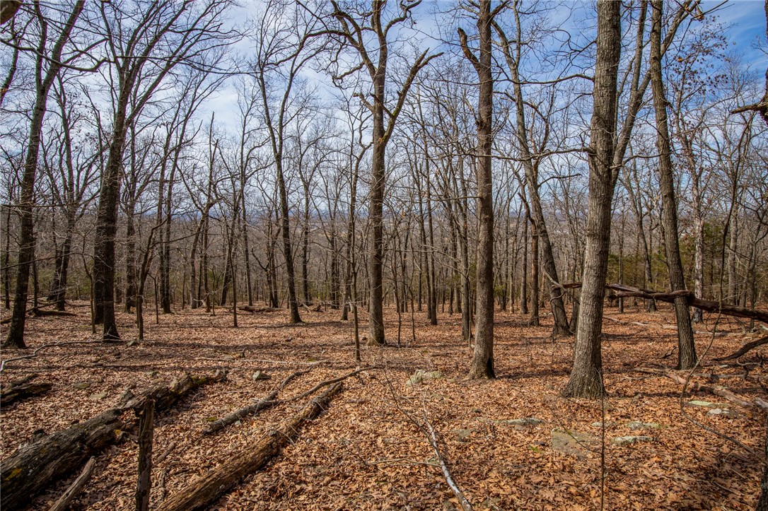 Fayetteville Outlots - Land
