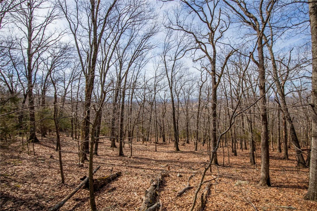 Fayetteville Outlots - Land