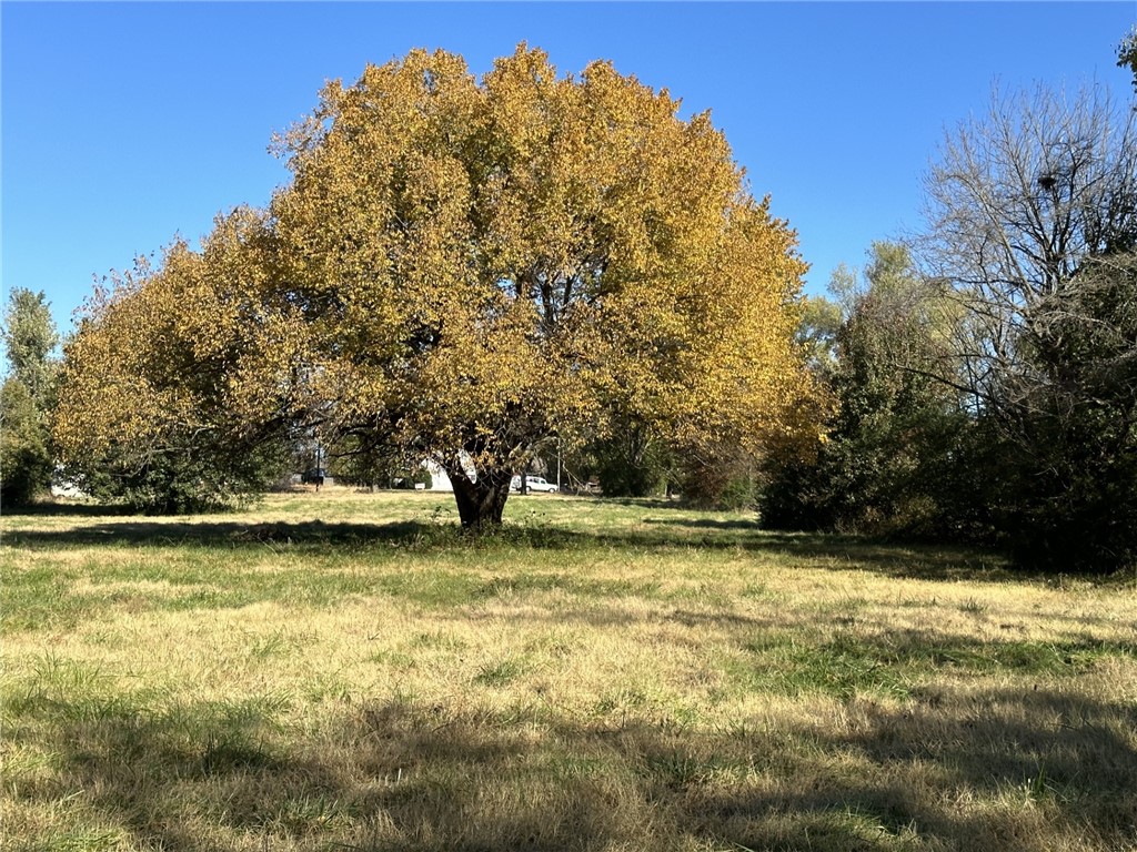 Springdale Outlots - Land