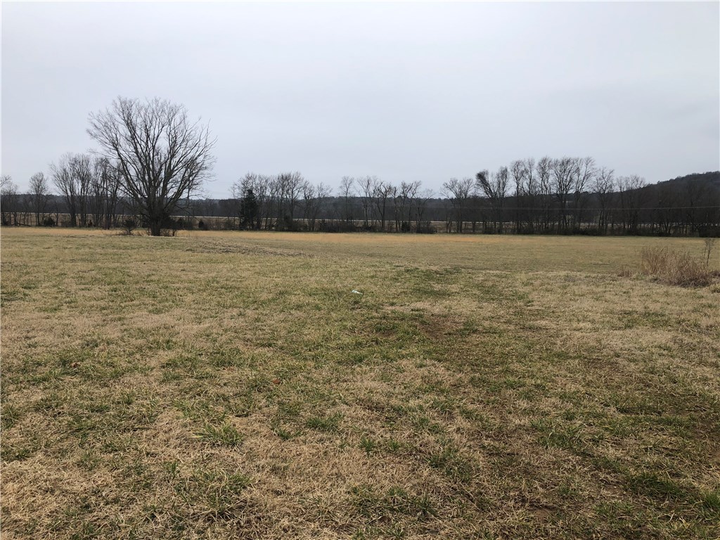 Great combo of timber and level flat pasture. Land great to farm or for recreation. Agent owned.