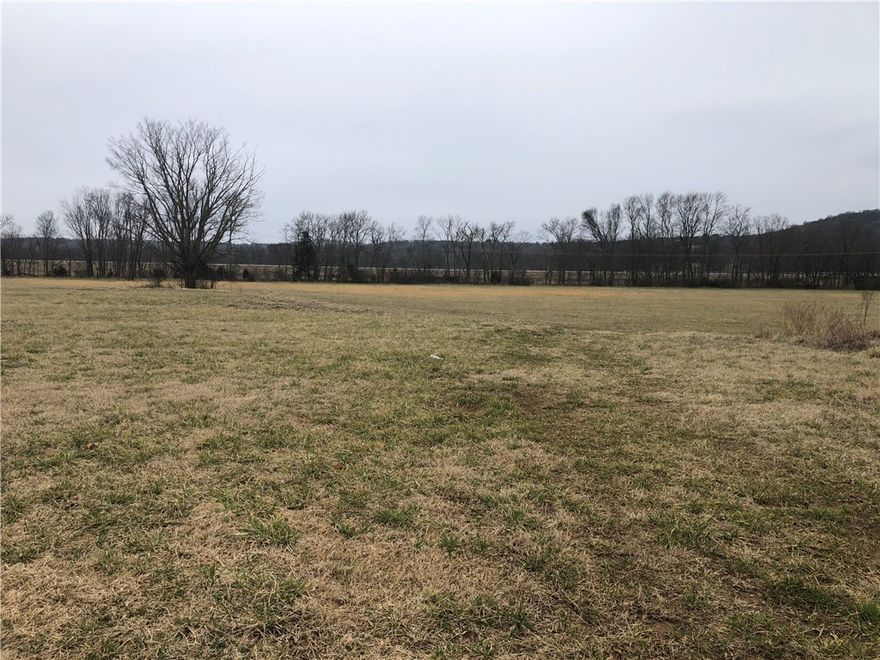 Great combo of timber and level flat pasture.  Land great to farm or for recreation.  Agent owned.