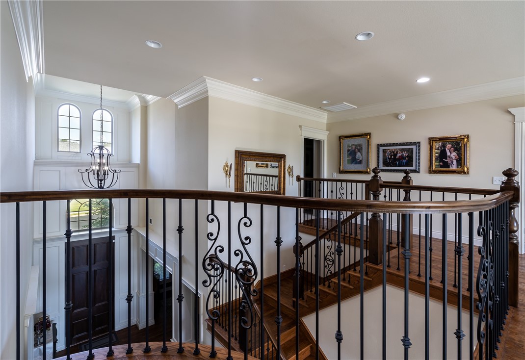 Oak Tree - Residential