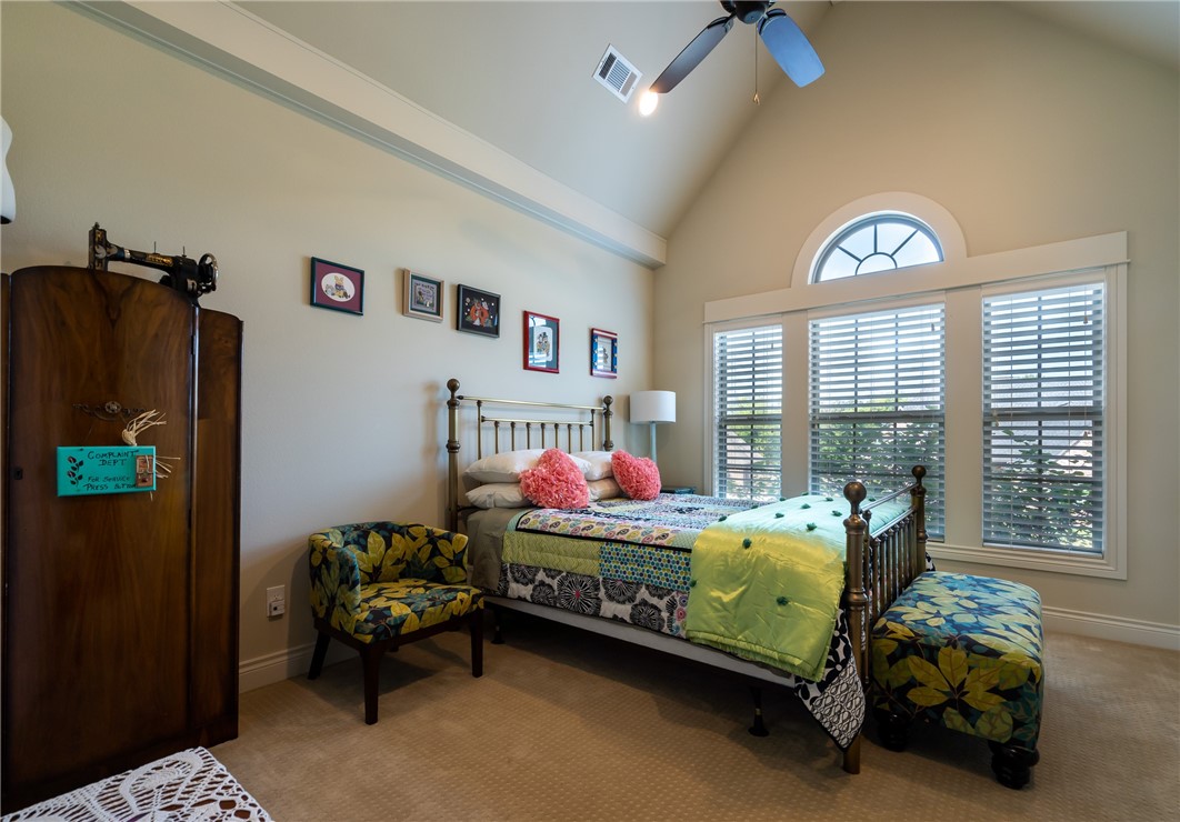 Oak Tree - Residential