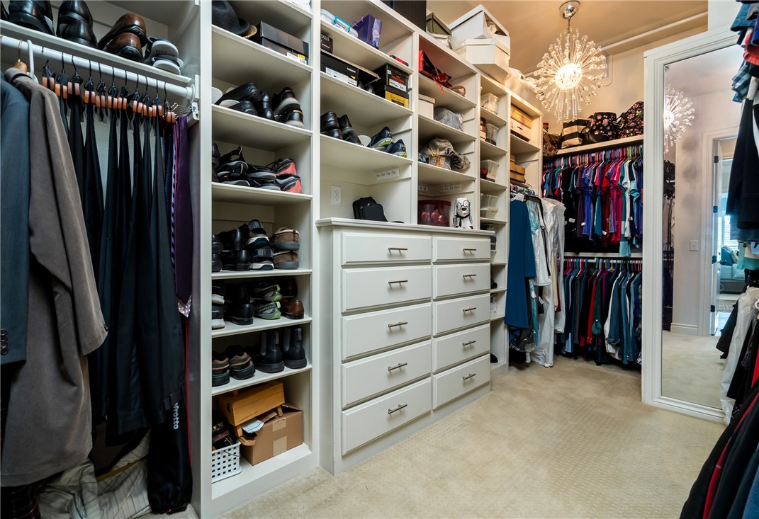 Oak Tree - Residential