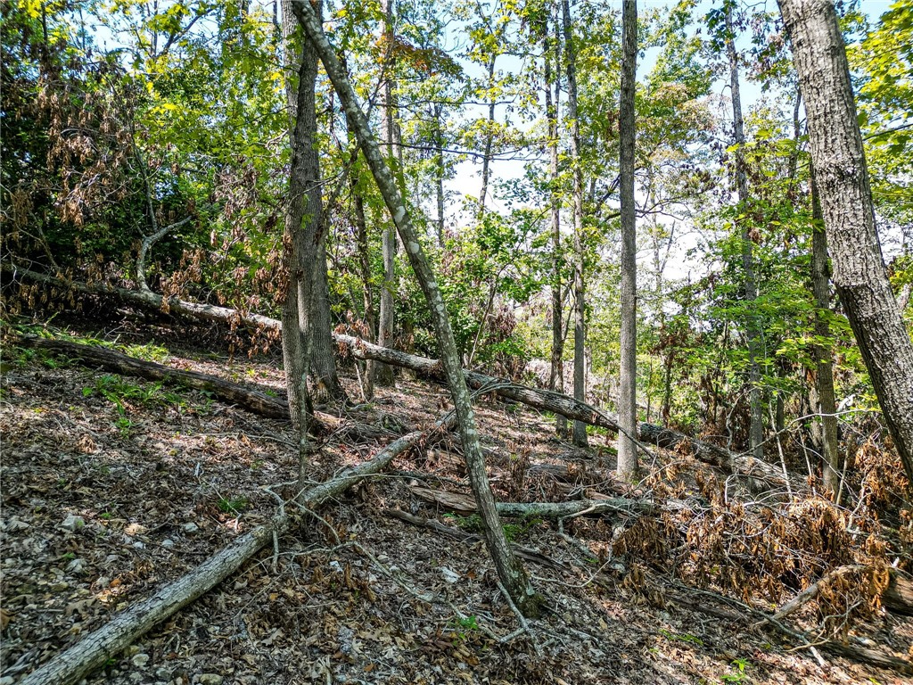 25-20-29 RURAL - Land