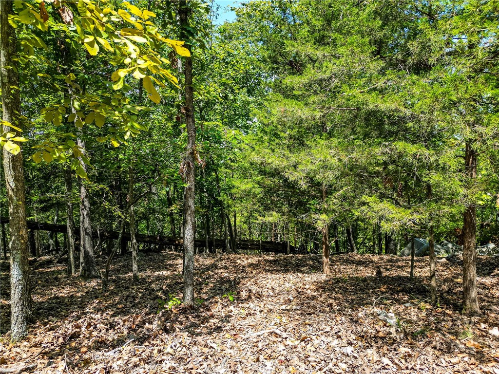 25-20-29 RURAL - Land