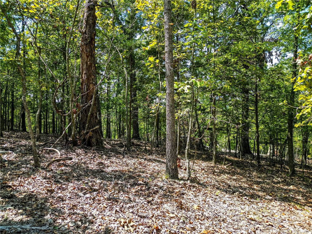 25-20-29 RURAL - Land