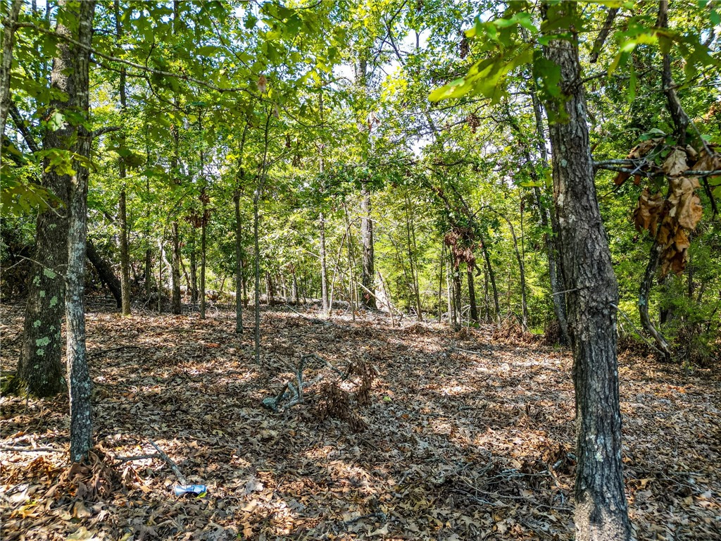 25-20-29 RURAL - Land