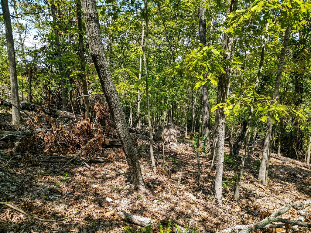 25-20-29 RURAL - Land