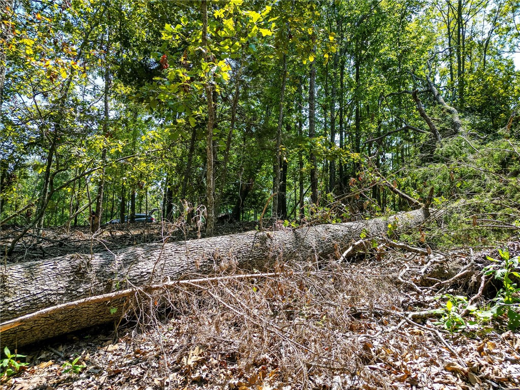 25-20-29 RURAL - Land