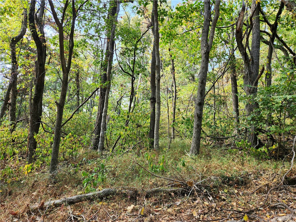 Posy Mountain Ranch Unit 7 Rurban - Land