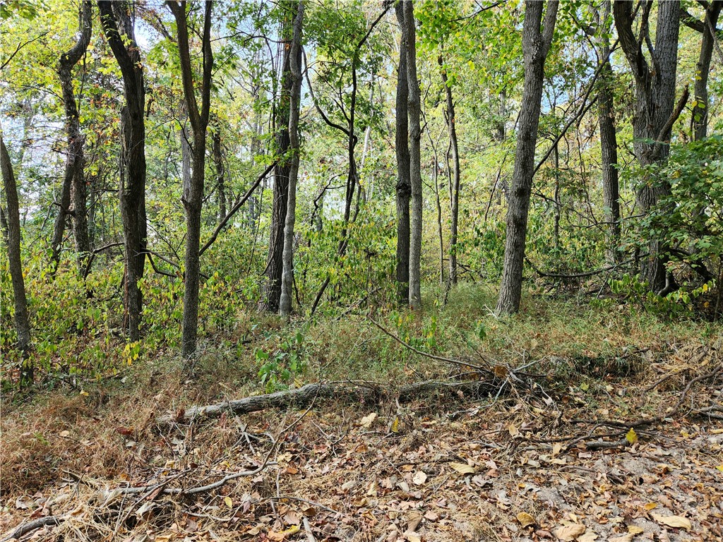 Posy Mountain Ranch Unit 7 Rurban - Land