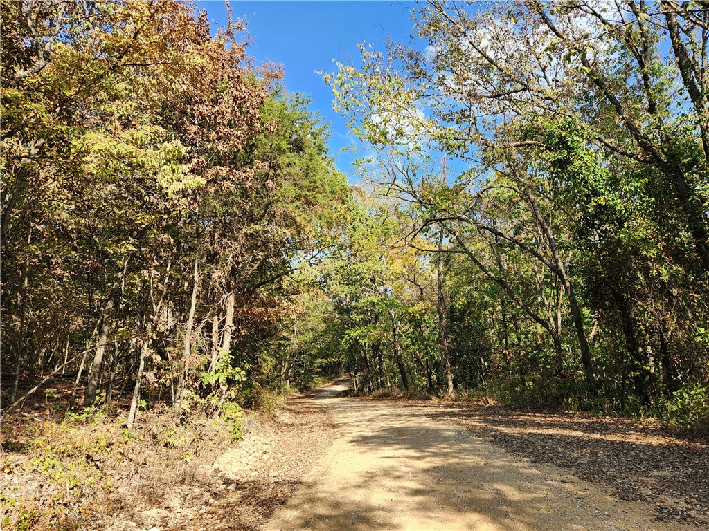 Posy Mountain Ranch Unit 7 Rurban - Land