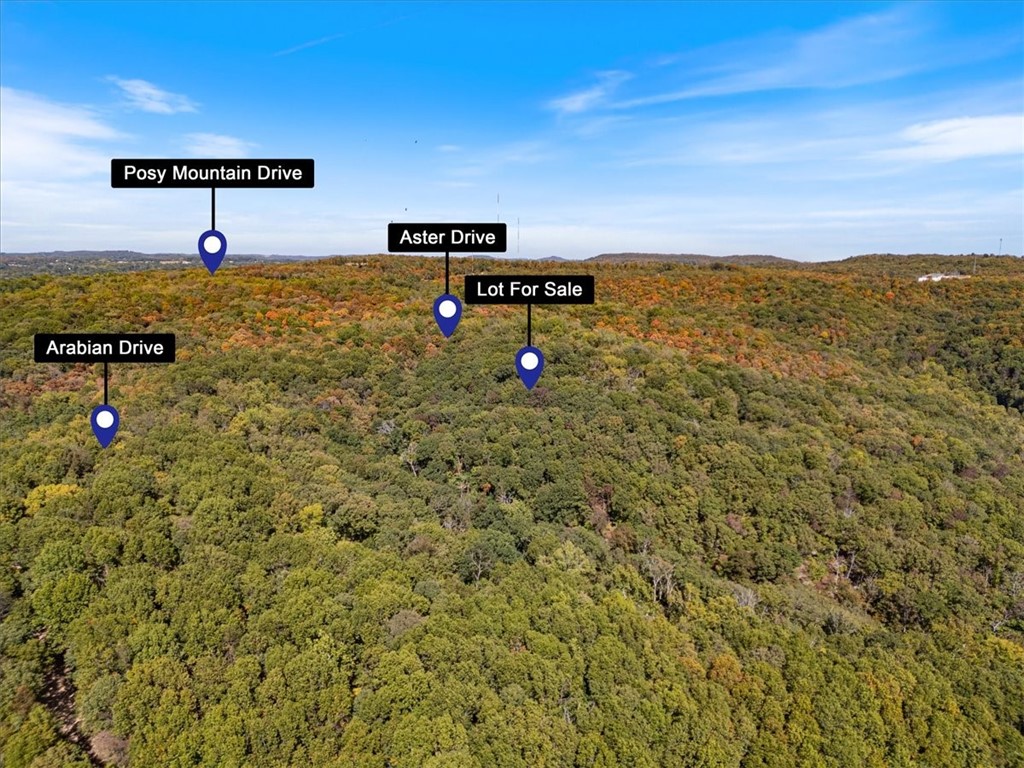 Posy Mountain Ranch Unit 7 Rurban - Land