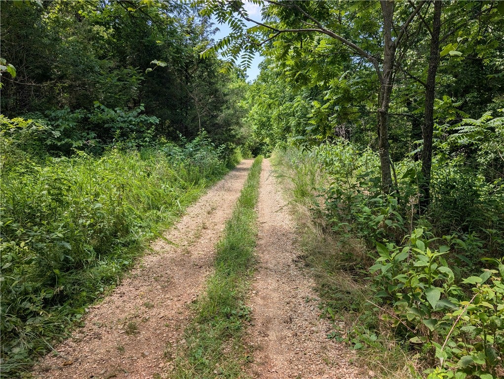 Photo 1 of 4 — Wey Lane, Bella Vista, AR 72714
