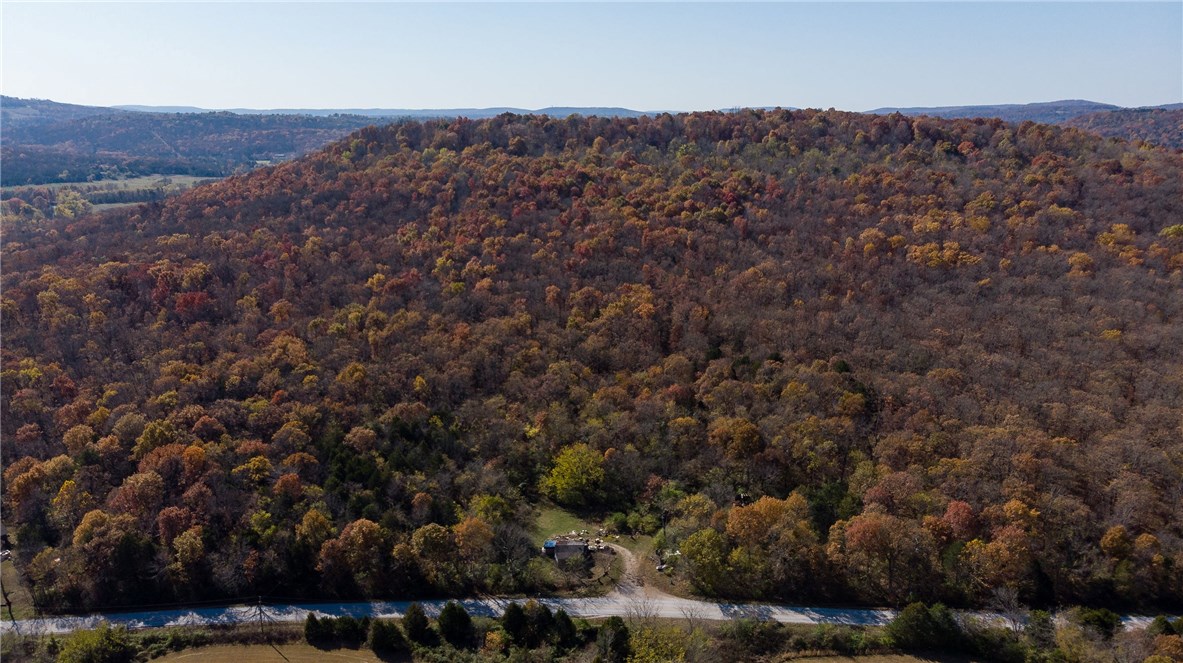 Set your roots deep on this 46.95 gently sloping, wooded acres full of wildlife and waiting for you! On Puddin Hill, less than 1/2 mile from the White River with beautiful views of Robinson Mountain. This unique property even has a Native American marker tree pointed straight at the White River. Take this rare opportunity to build your own dream home or a close in weekend getaway on this historical property that has been in this family for over 150 years. A short 5 minutes drive to Highway 16E and 265, 15 minutes to the University of Arkansas, and less than 1/2 mile outside of the Fayetteville city limits. Make this beautiful property your family's legacy, and start 2021 off with that goal in mind.