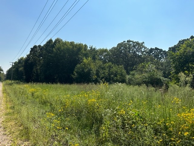 15.94 acres of land ready to build on just out of Gentry city limits. On corner of Betty Baker and Gerald Shay. Gerald Shay is dead end road making this a quiet and private location. Adjacent chicken houses are not in operation.