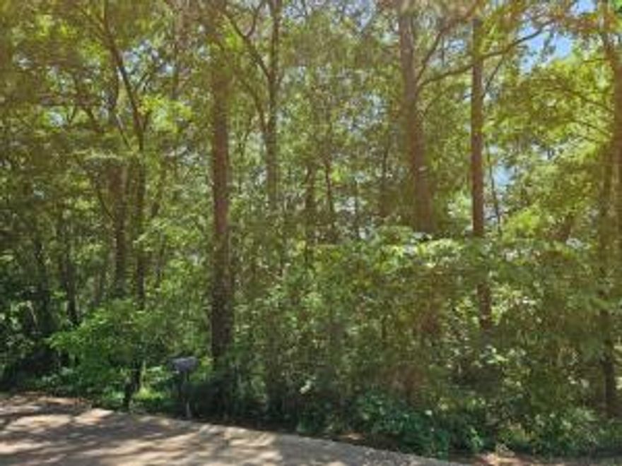 Land Only!!  Dreaming of building your perfect home with city amenities. Look no further!  We've got the ideal spot waiting for you in Dardanelle! 1.5 LotsSewer and electric already on the street - hassle-free! Mature trees providing shade and charm  Mostly level terrain to make building a breezeTurn your dream into a reality today!