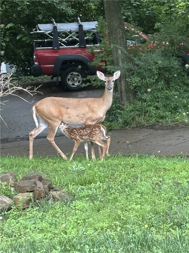 Mountain View Add - Residential