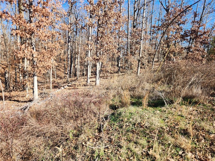 nice little lot close to Grosvenor, second lot in, slopes a little right to left but buildable. several homes on Kent Drive.