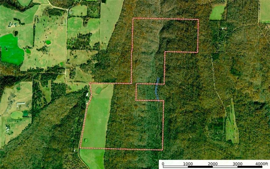 This 285.73-acre property is located in southern Washington County off Antioch Rd, Canehill, AR 72717. Along the road frontage lays approximately 60 acres of open pasture with electric and water running along the road. The wooded acreage provides excellent hunting opportunities for deer, turkey, bear, and small game. The pasture ground is flat, cross fenced, having 2 ponds, and has been hayed and pastured for several years. A bluff line runs on the east side of the pasture offering beautiful rock formations. Additional acreage is available.