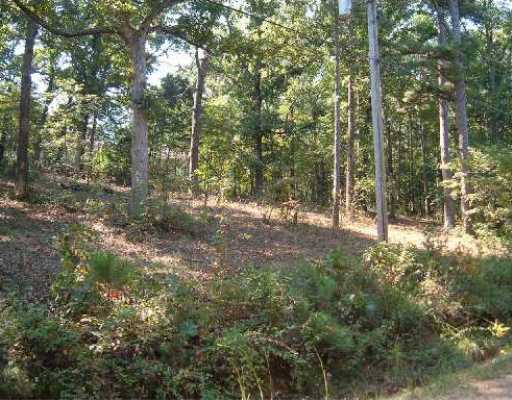 NICE AND GENTLE SLOPING BUILDING LOT. CLOSED TO PUPLIC LAUNCH, MARINA AND GOLF.,DESIRABLE NEIGHBORHOOD, CLOSE TO TOWN, SHOPPING , GOLFING AND MARINA.