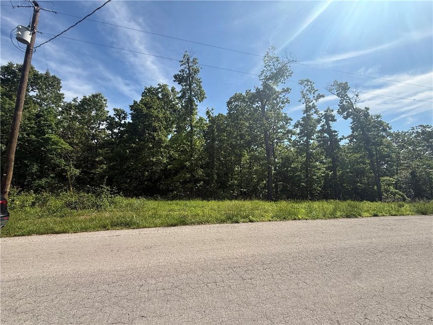 Buildable, level lot on Cromarty Dr in Bella Vista, ideally located just minutes from Scotsdale Golf Course and Loch Lomond Dam. This property offers a great setting with a mix of mature trees and a cleared, flat area along the road—making it well-suited for new construction. Electric is nearby, and there are newer homes in the immediate area, adding to the appeal. Quiet street with a natural setting while still being conveniently located to recreation and amenities. Buyer to verify utilities, lot boundaries, and building requirements.