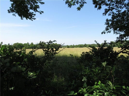 BETHEL RD, GRAVETTE, AR 72736 - Image 8bd85fcf377ff0e01e5c74ac5d10cd27/748855191