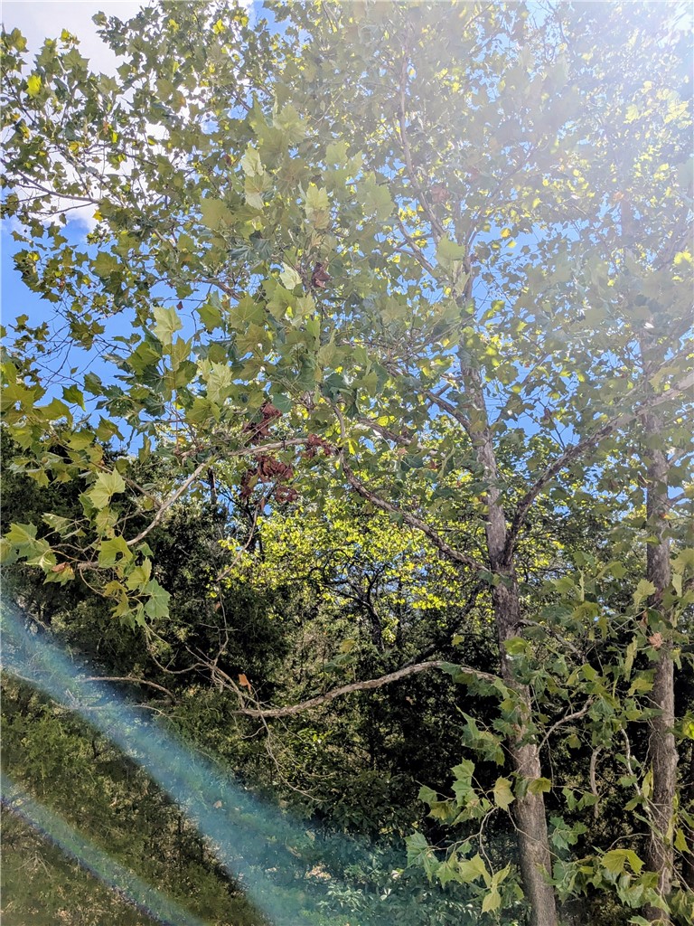 Unit 117 Holiday Island - Land