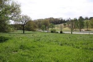7.38 Acre Parcel fronting on Bunker Rd for 396 Feet- City Water & Sewer available. Great Location for your dream home!