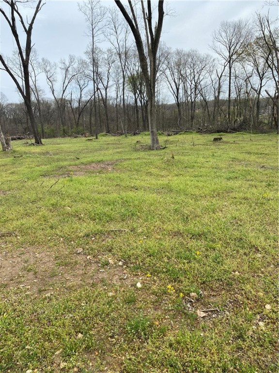 Partially cleared property with several nice building sites. Beautiful land next to subdivision of well maintained homes. If you are looking for the perfect place, out of the hustle and bustle of the city, to build your house, but still on a paved road...this is the property for you. Don't miss out!!!
The owners are willing to divide this property into two parcels, if you don't want the full 7.6 acres.
